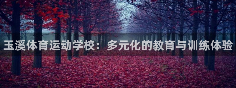 欧亿体育官方平台体育:玉溪体育运动学校:多元化的教育与训练体