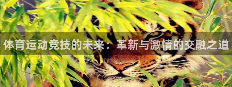 欧亿体育官方正版app娱乐首页官网下载:体育运动竞技的未来: